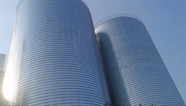 抚宁2座混凝土高架卷板仓